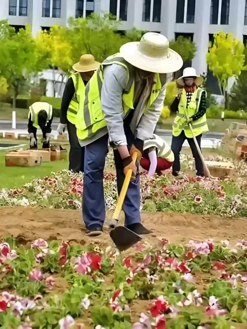 珠海园林绿化公司怎么选？从施工到养护，一篇讲透园林绿化的门道
